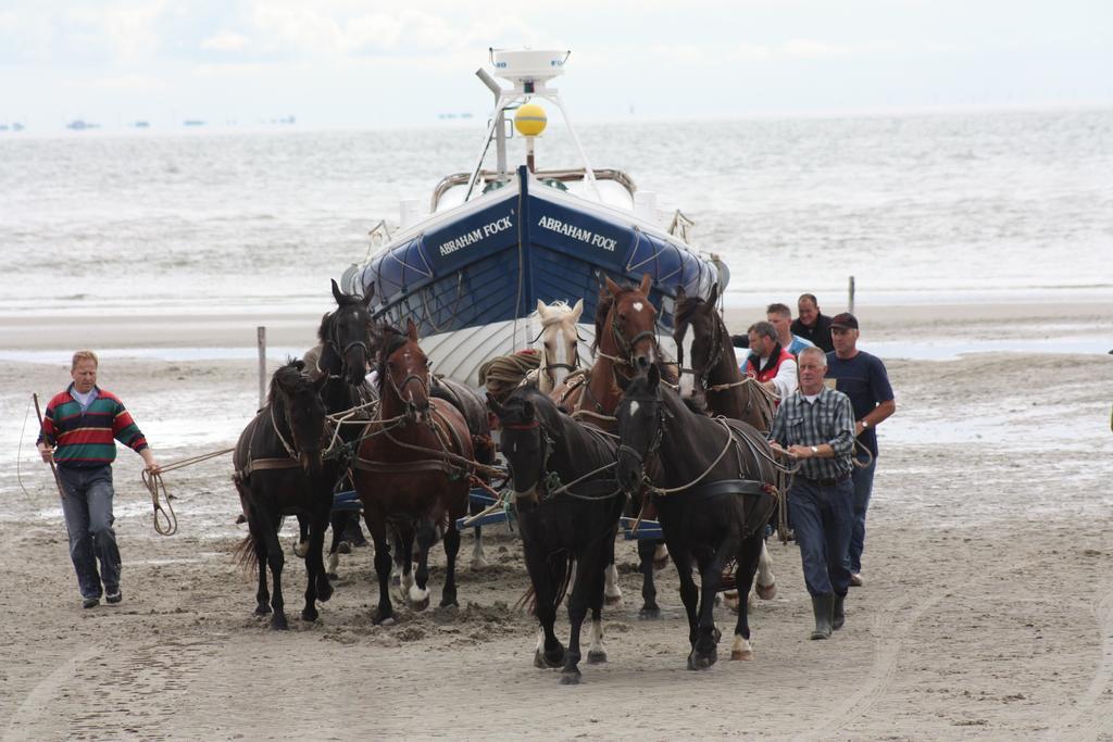 Sier Aan Zee Hostel Hollum  Bagian luar foto