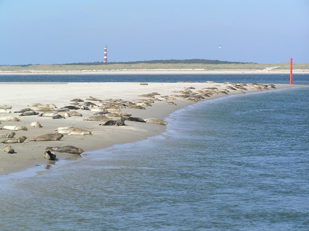 Sier Aan Zee Hostel Hollum  Bagian luar foto